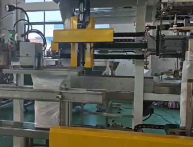 품질  Dual-Lane Salt Packaging Machine Line - High-Capacity Salt Packaging Solution 공장