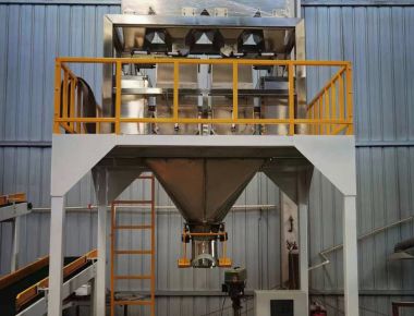 이중 차선 소금 포장기 라인 - 고용량 소금 포장 솔루션